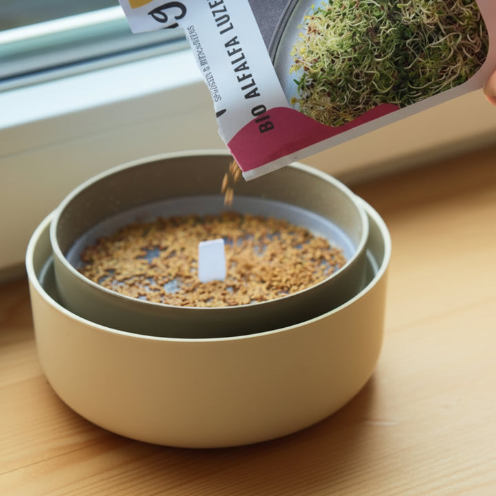Microgreens-Anzuchtschale für eine schnelle Ernte