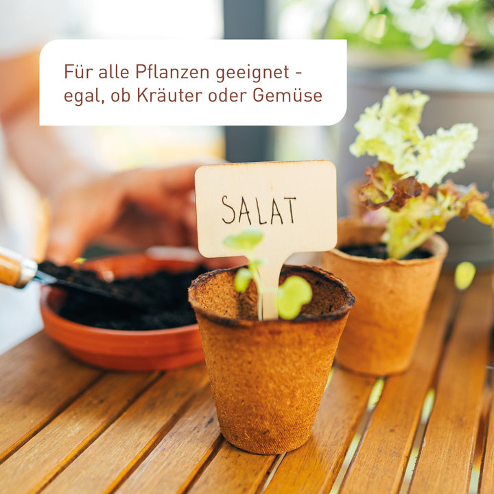 Anzuchttöpfe für Gemüse, Kräuter und mehr