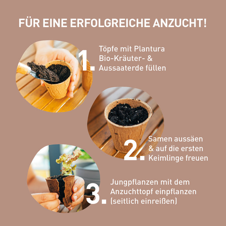 Anleitung für Aussaattöpfe zum Einpflanzen