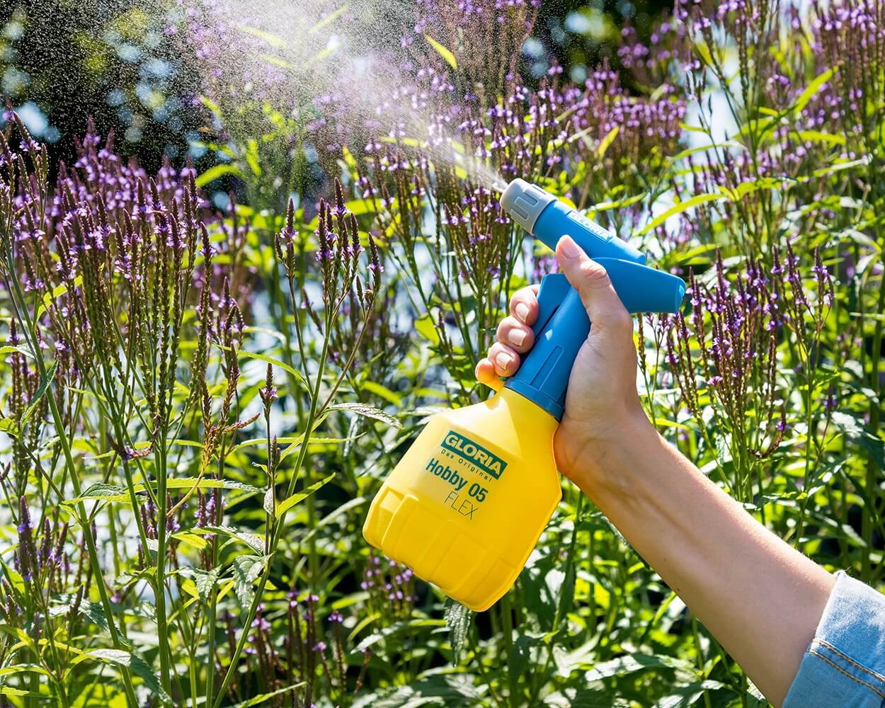 Bekämpfung von Blattläusen mit Neem Sprühlasche