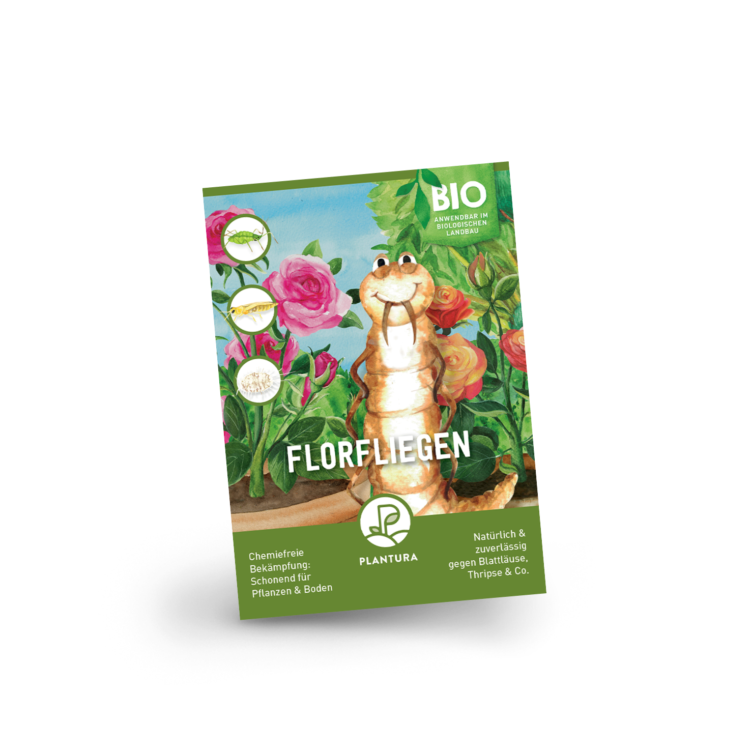 Plantura Florfliegen gegen Blattläuse