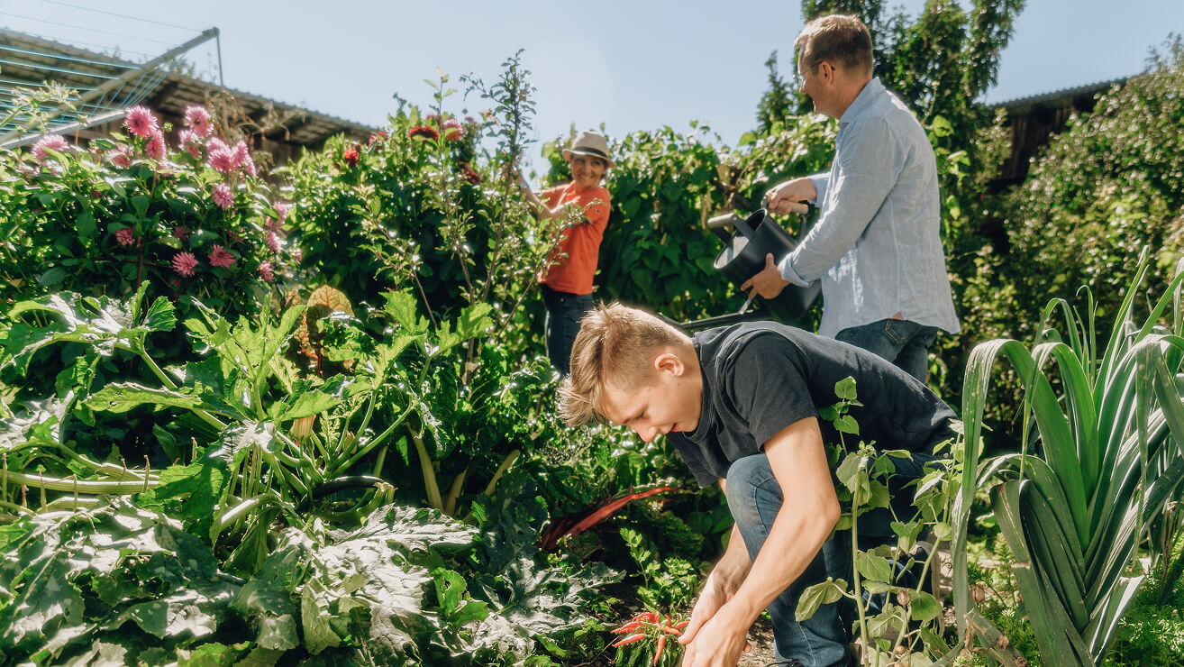 Familie arbeitet gemeinsam in Gemüsegarten