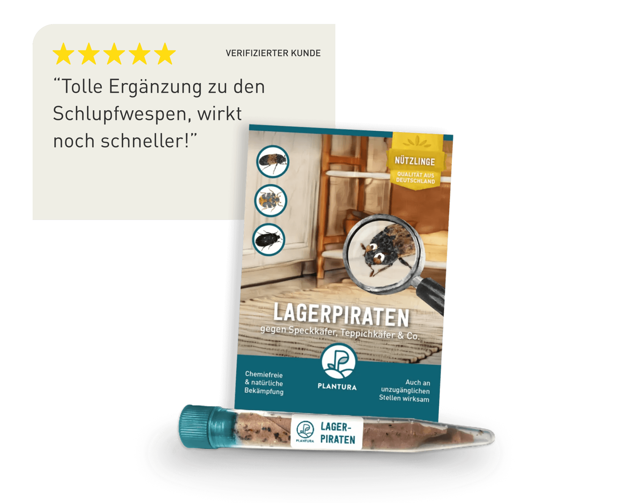 Lagerpiraten als Geheimtipp gegen Kleidermotten