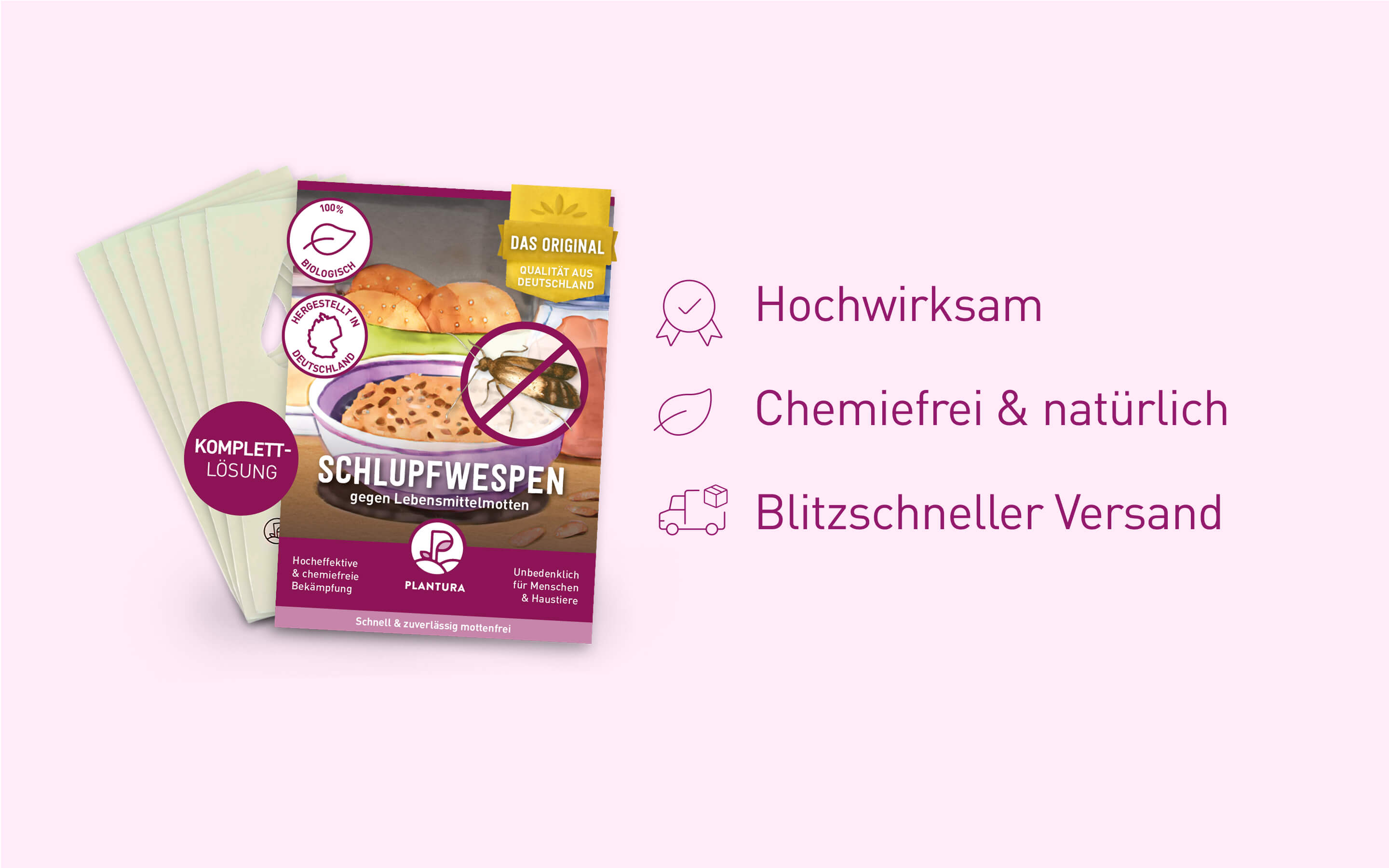 Motten-Bekämpfung mit Schlupfwespen