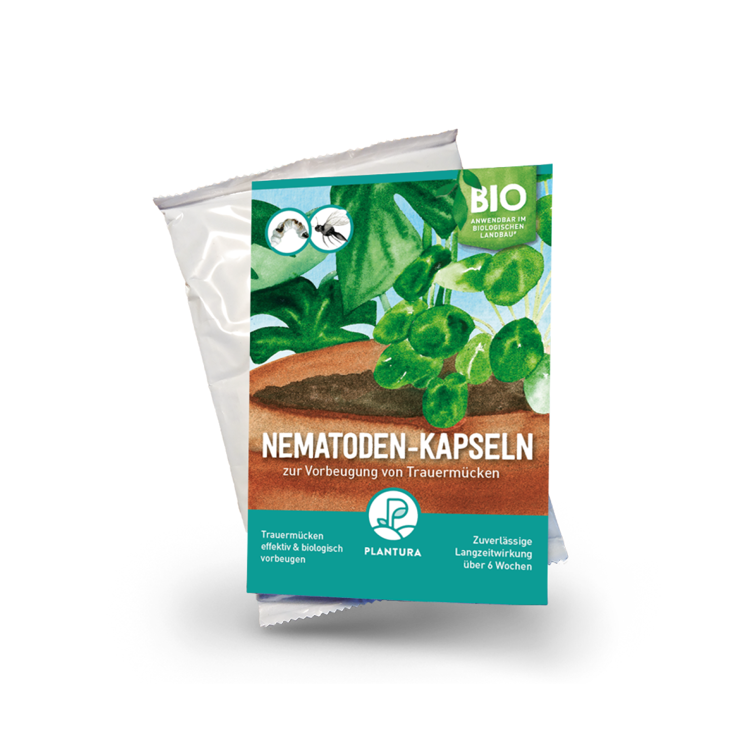 Nematoden-Kapseln zum Vorbeugen von Trauermücken