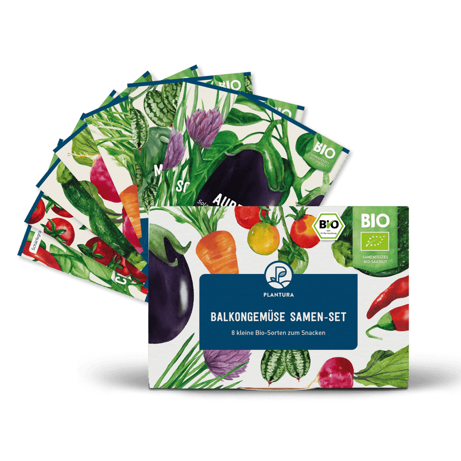Bio-Balkongemüse Samen-Set