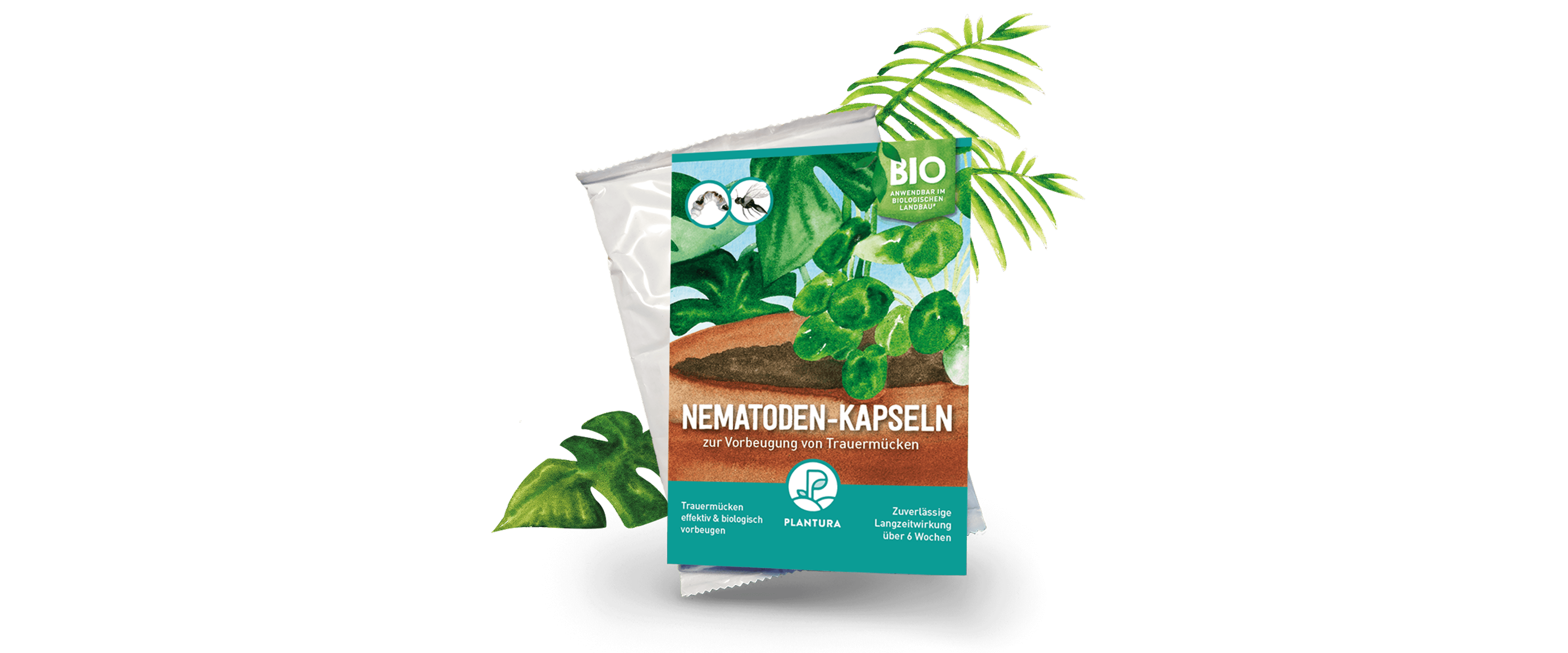 Plantura Nematoden-Kapseln gegen Trauermücken