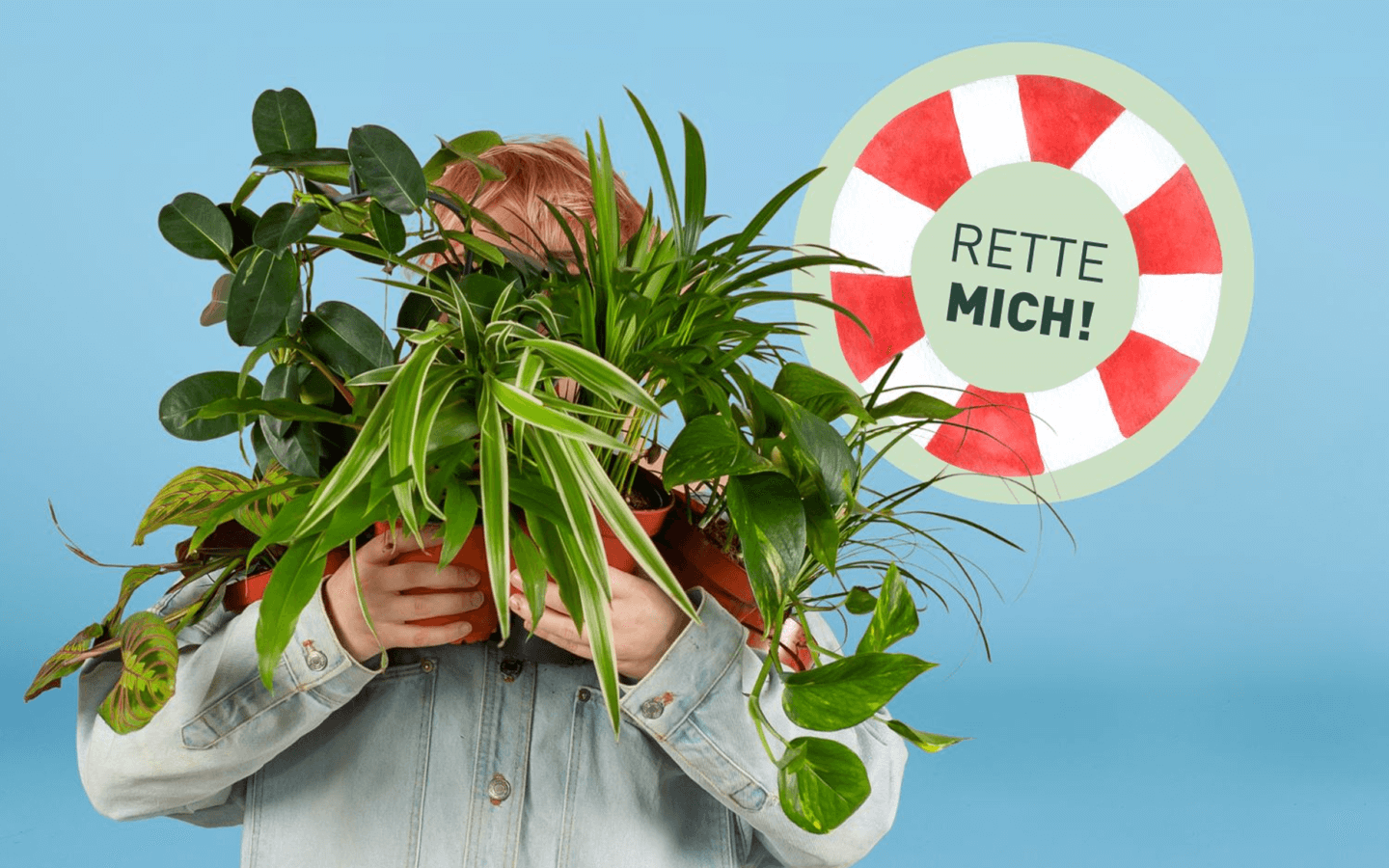Rette mich Zimmerpflanzen-Box