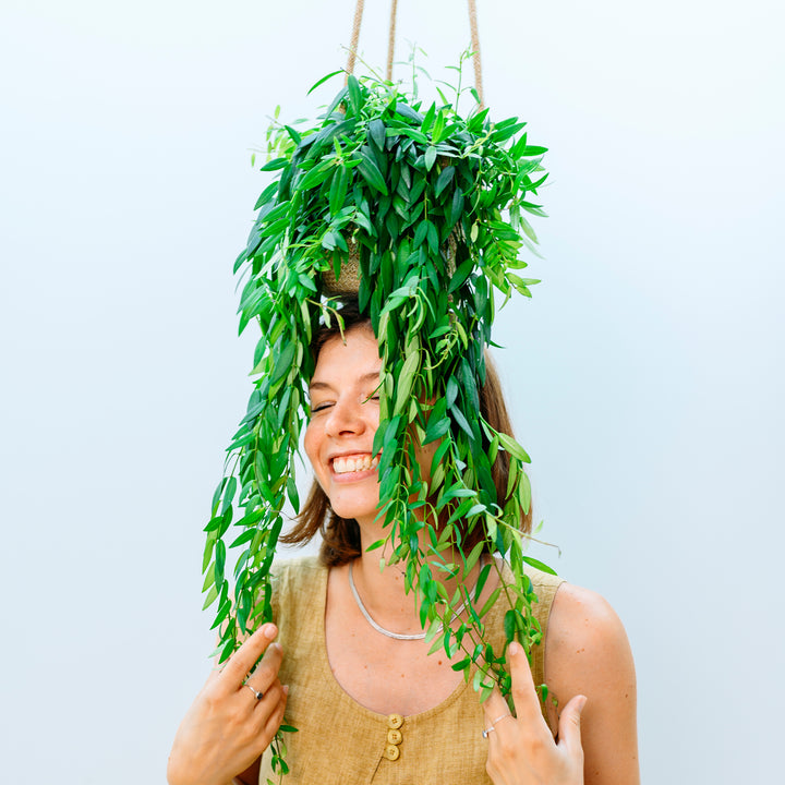 Lachende Frau mit Schamblume