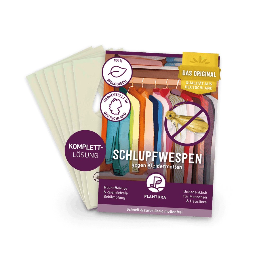 Schlupfwespen gegen Kleidermotten von Plantura
