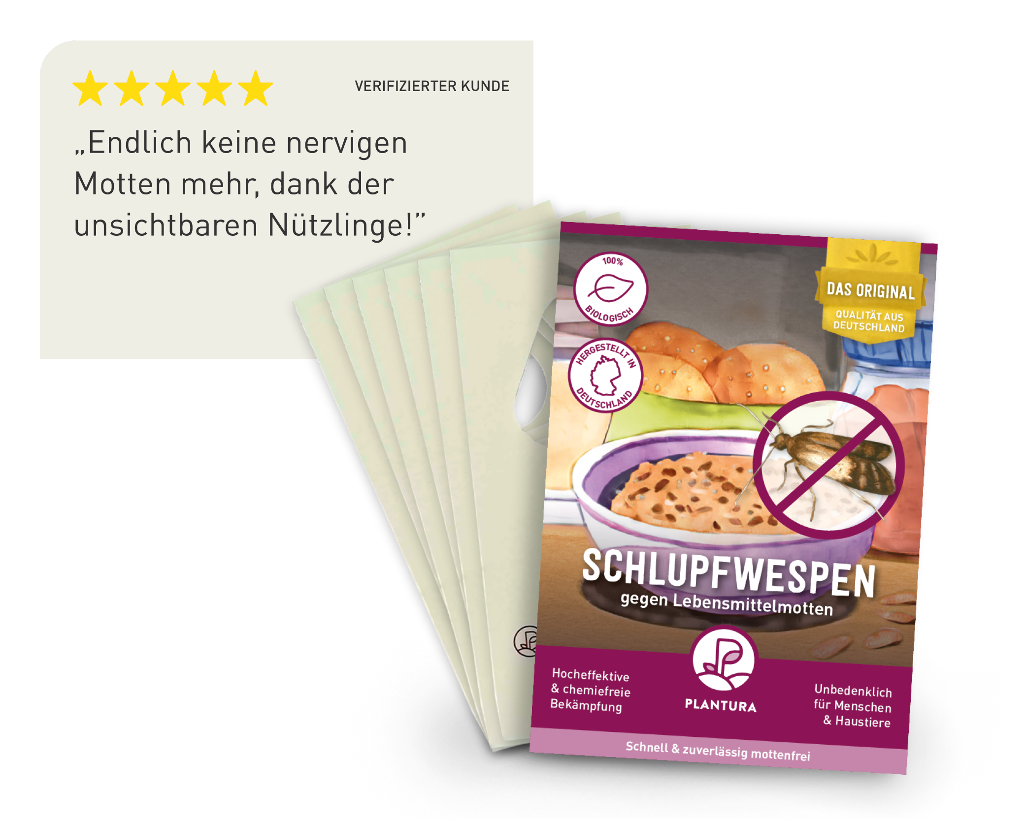 Karten von Schlupfwespen gegen Lebensmittelmotten