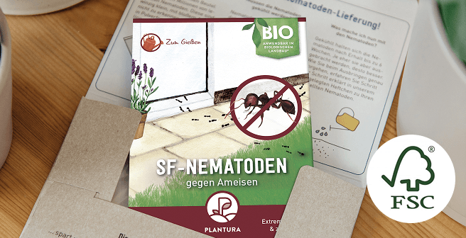 Umweltfreundlich verpackt