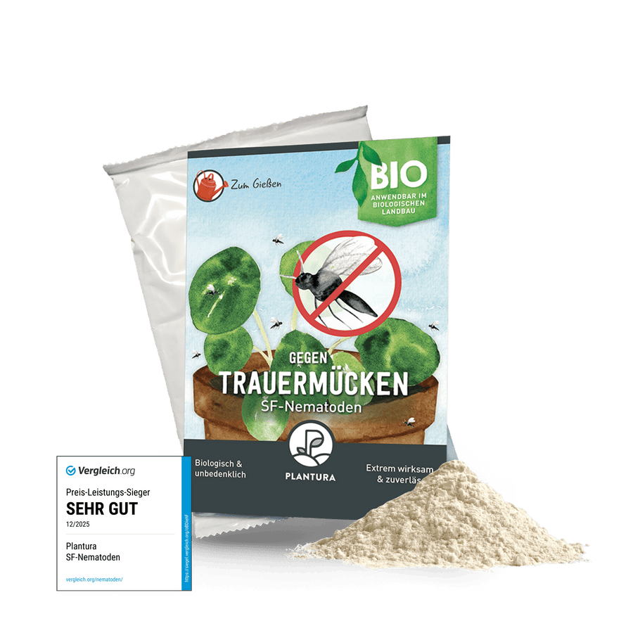 Plantura SF-Nematoden gegen Trauermücken