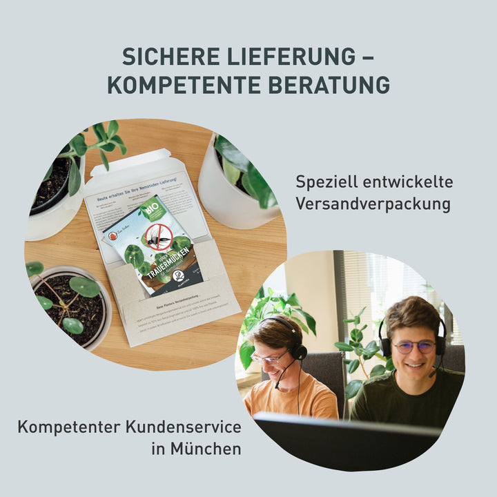Verpackung und Kundenservice der SF-Nematoden gegen Trauerfliegen