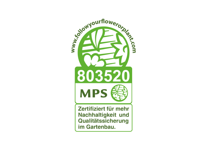 MPS
