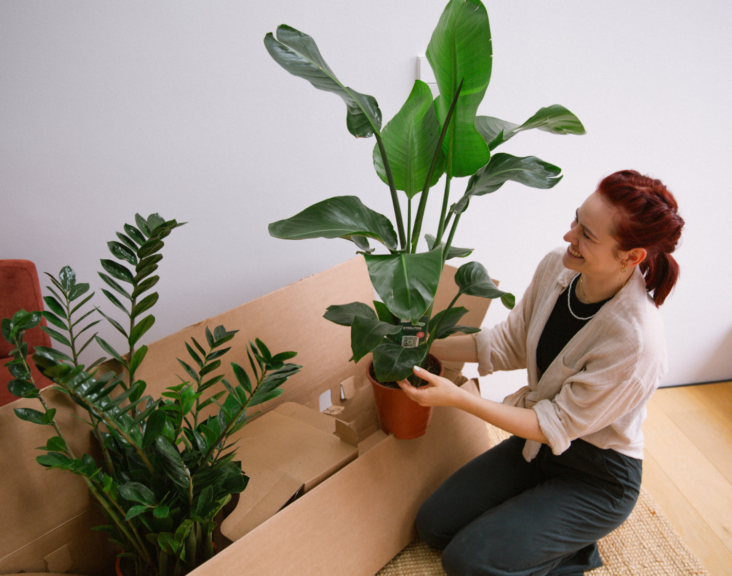 Frau packt Zimmerpflanzen-Paket von Plantura aus