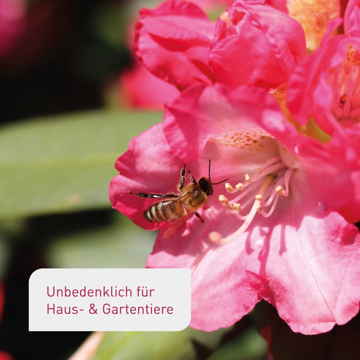Plantura Bio-Hortensienerde unbedenklich für Tiere