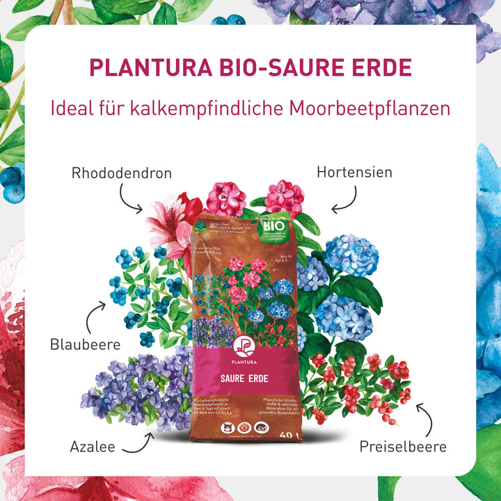 Moorbeeterde als Rhododendronerde oder Hortensienerde
