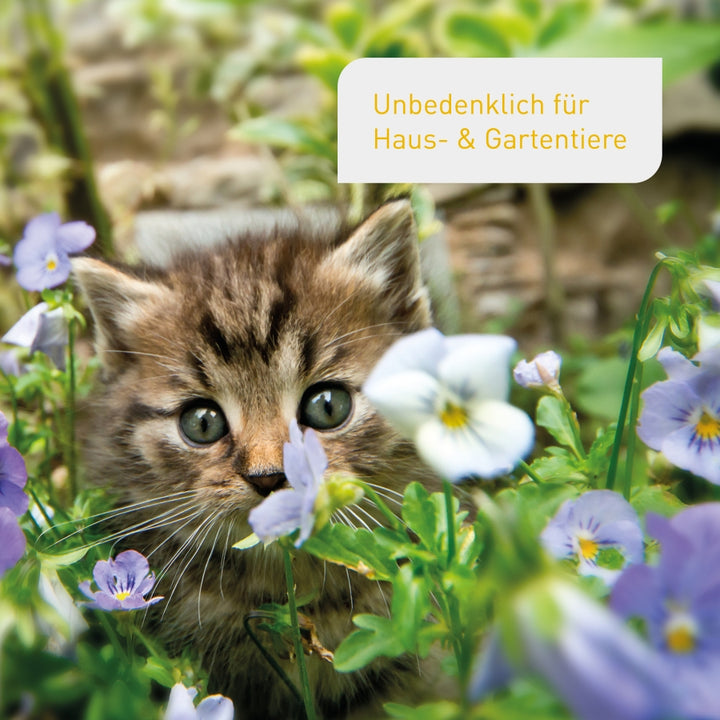 Plantura Blumenerde unbedenklich für Tiere