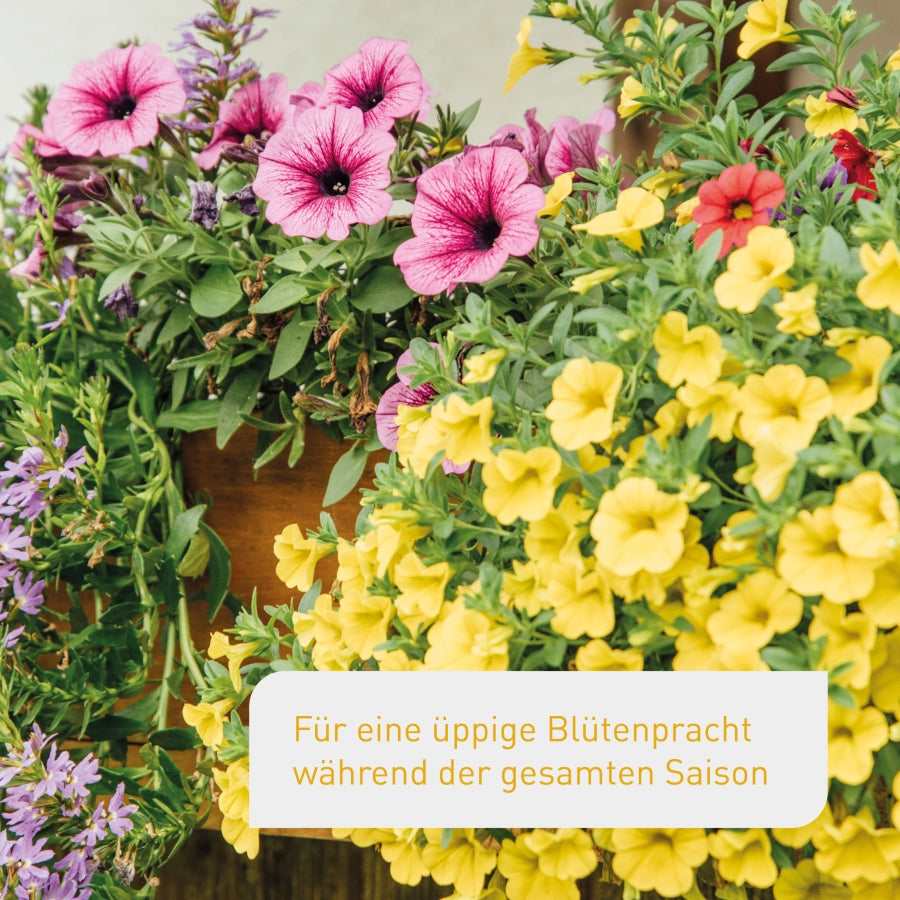 Flüssiger Blumendünger für gesunde Blumen