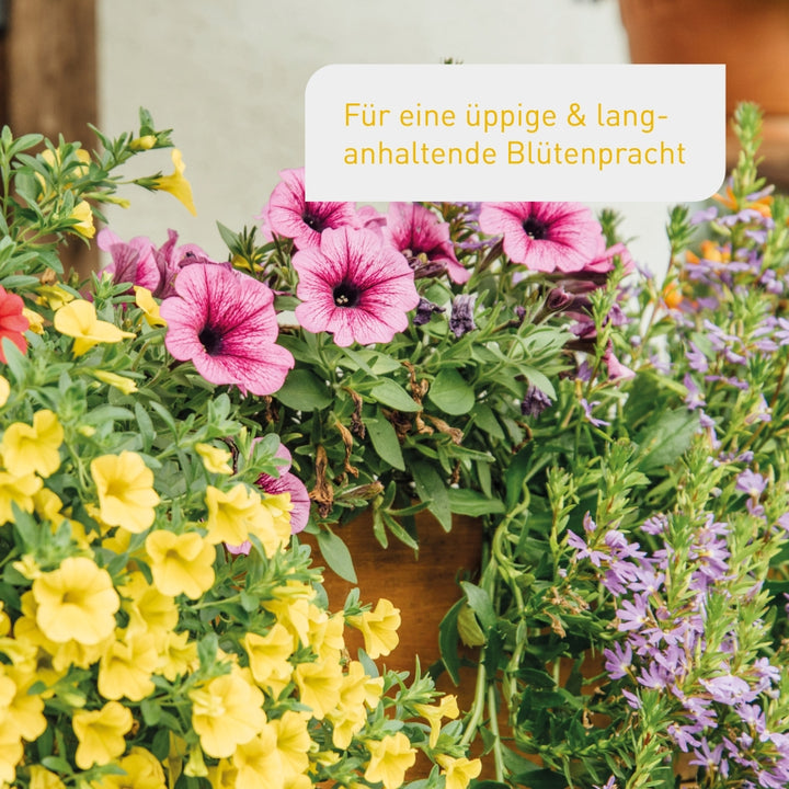 Blumenerde für eine üppige Blumenpracht