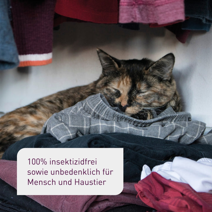 Insektizid- und giftfreie Kleidermotten-Fallen