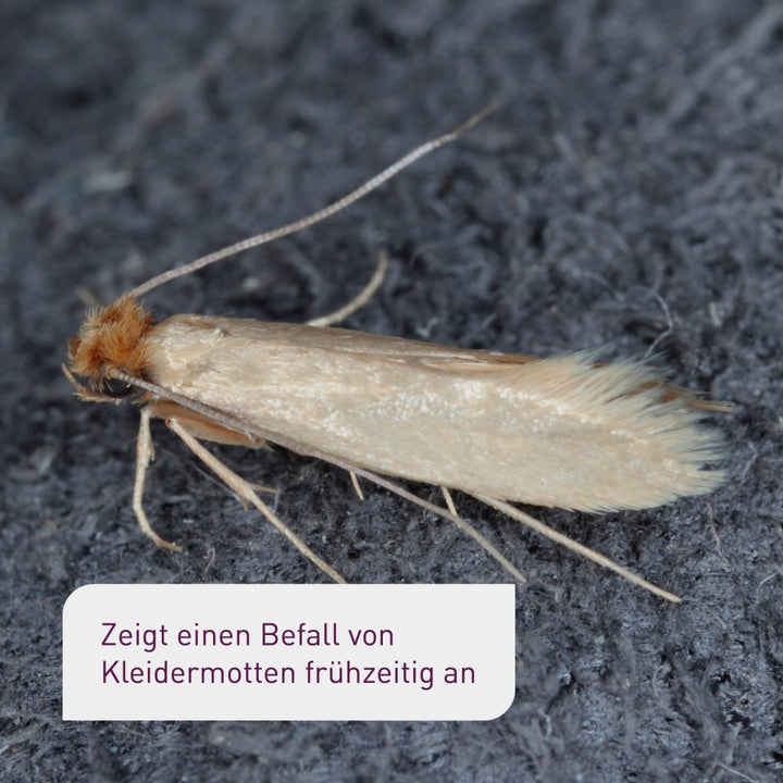 Plantura Mottenfallen für Kleidermotten