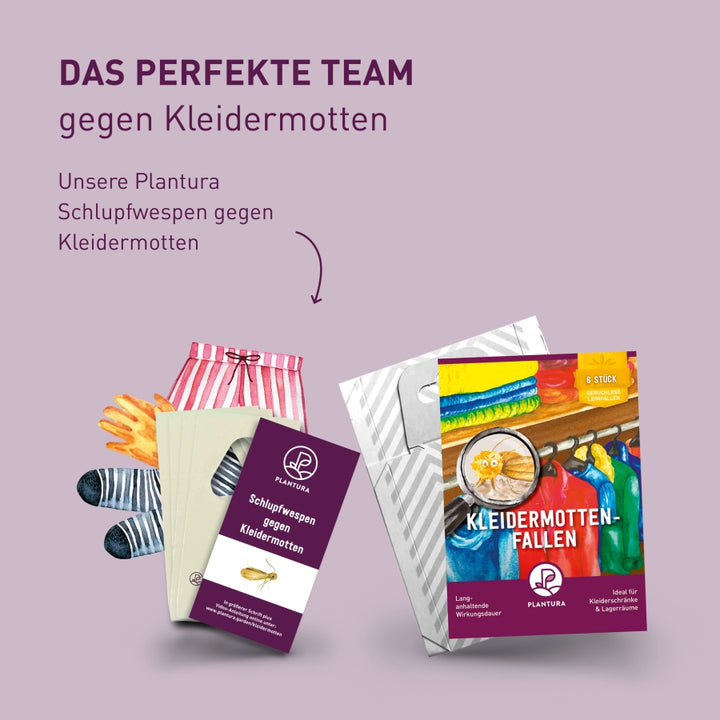 Plantura Kleidermotten-Fallen und Schlupfwespen gegen Kleidermotten