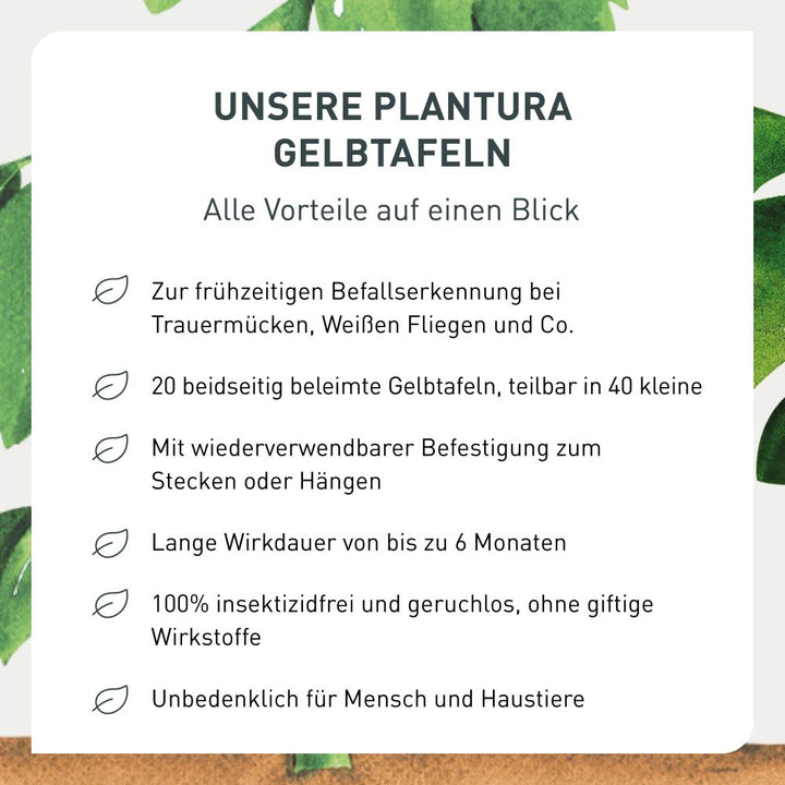 Vorteile der Plantura Gelbtafeln