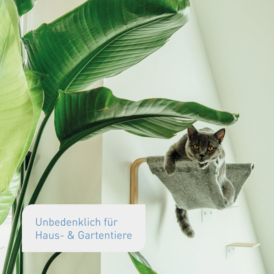 Zimmerpflanzendünger unbedenklich für Tiere